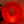Nova Loop Lamp