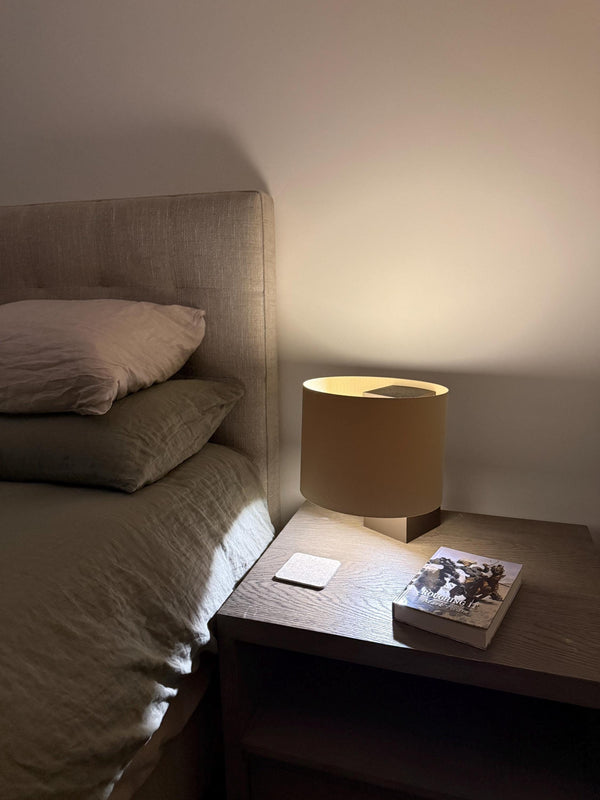 Pioneer Loop Lamp