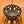 Void Bowl