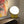 Elroy Lamp
